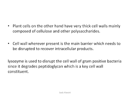 The structure, functions, and parts of the plant cell wall model are explained in detail with a the plant cell is a eukaryotic cell made up of a definite nucleus and various membrane and it is the gelatinous liquid that fills the space inside of a cell. Ppt Cell Disruption Powerpoint Presentation Free Download Id 2045379