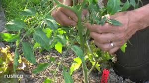 Epingle Sur Jardin