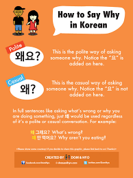 Now that you know how to ask how are you in korean, let's learn some other variations. How To Say Why In Korean Learn Korean With Fun Colorful Infographics Dom Hyo