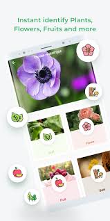Just go to menu > settings > security > and check unknown sources to allow your phone to install apps from sources other than the google play store. Download Leafsnap Plant Identification Free For Android Leafsnap Plant Identification Apk Download Steprimo Com