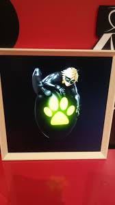 Chat Noir Miraculous Ladybug Ladybug Miraculous