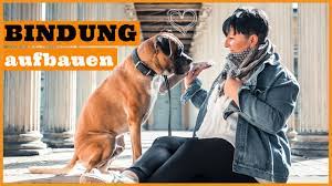 Bindung Zum Hund Aufbauen So Starkst Du Die Bindung Zum Hund