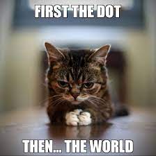And Then What Shall We Do Next Funny Animals Funny Cats Cats