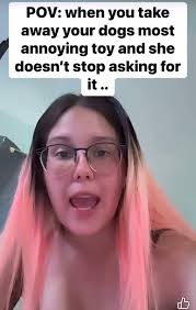 When your dog won’t stop begging for her most annoying toy that you hid  😮‍💨