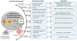 Current time and date for cities in malaysia, including kuala lumpur. Cancers Free Full Text Progress In Clinical Trials Of Photodynamic Therapy For Solid Tumors And The Role Of Nanomedicine Html