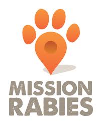 rabies vaccination program mbwa wa africa animal rescue