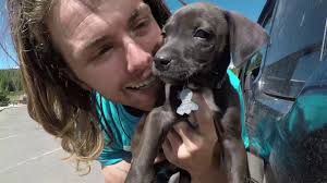 Ocean Training & Bonding Adventures with Dogs