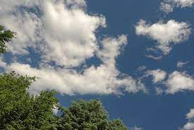 Download this free tropical sunset beach palm tree ocean waves sky clouds wallpapers hd wallpaper in high resolution and use it to brighten your pc desktop, ipad, iphone, android, tablet and every other display. Hd Wallpaper Weather Clouds Blue Sky Trees Nature Desktop Background Wallpaper Flare