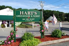 We did not find results for: Hart S Greenhouse Florist 43 Clinton Ave Norwich Ct 06360 Yp Com