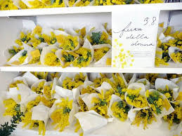 The first international women's day (iwd) was established in the united states on february 28th in 1909 by the american socialists, who organized a public restaurants usually have a w day exclusive menu and again, mimosa is the theme. Shelves Of Mimosa Posies For International Women S Day Wattle Acacia Flower Gift With Images Mimosa Flower Mimosa