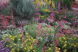 How To Start Gardening High Country Colorado Real Estate