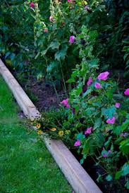 Beeteinfassung Holz Diy Highlight Um Die Bambussperre Zu Verdecken Beeteinfassung Holz Beeteinfassung Beeteinfassung Selber Machen