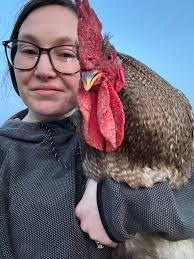 Anyone else have a special one in the flock?