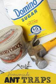 Do It Yourself Homemade Ant Traps Rid Of Ants Get Rid Of Ants Ants