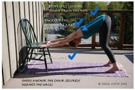 Downward Dog Progressions Yoga