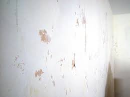 Wallpaper steamers are responsible for attaching and removing wallpapers across your house. How To Remove Wallpaper Using Solvents Or Steam Hgtv