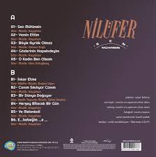 Sen Muhimsin Plak Nilufer