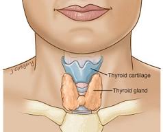 वैसे तो human body parts female या गर्ल्स में male की तुलना में एक जेसा है होता है लेकिन कुछ अंग male से काफी भिन्न होते है जेसे की जननांग, स्तन आदि उनका विवरण यहाँ देख सकते है|'. Human Body Parts Names In English And Hindi List Of Body Parts à¤® à¤¨à¤µ à¤¶à¤° à¤° à¤• à¤… à¤— à¤• à¤¨ à¤®