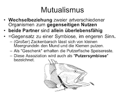 Mutualism is a common type of ecological interaction. Otto Moog Boku Institut Fur Hydrobiologie Und Gewassermanagement Ppt Herunterladen