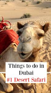 365 likes · 5 talking about this. Pin On World Travel Family