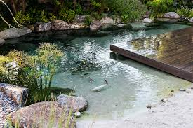 It features those divider thingies that separate the lanes of a swimming pool; New Method To Build Backyard Beach Ponds With Sand Koi Crystal Clear Water Pond Trade Magazine