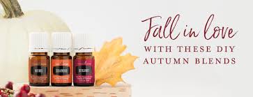 Check out our essential oil blend selection for the very best in unique or custom, handmade pieces from our essential oils shops. Diy Autumn Essential Oil Blends