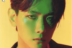 Lima puluh grup dan idola yang berbeda dinominasikan untuk kategori ini dan dapat dipilih melalui tagar mereka di media sosial. Baekhyun Tiba Tiba Minta Penggemar Berhenti Beli Album Baru Exo