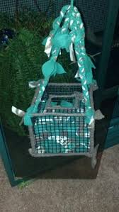 Sugar glider cages cage size style and accessories. Pin On Sugar Gliders