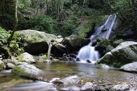 Lot 23, towering industrial centre, km 7, jalan penampang, oriental park phase 7, 88300 kota kinabalu, sabah, malaizija. Visiting Kinabalu Nationl Park Review Of Kinabalu Park Sabah Malaysia Tripadvisor