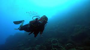 Duiken Op Curacao Youtube