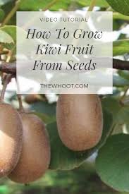 Avoid late ripening and early blooming varieties of fruit trees for this region. Pin On Garden Plants