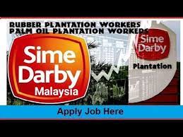 Searches related to sime darby plantation jobs. Job In Malaysia Sime Darby Plantation Company Direct Work Permit From India By Ak Sons Job S Youtube