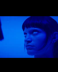 Scott_Crenshaw (@scott_crenshaw) • Instagram photos and videos