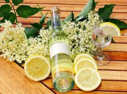La Recette Du Champagne De Sureau Sureau Fleur De Sureau Boissons Aux Fruits