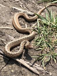 We did not find results for: Facebook