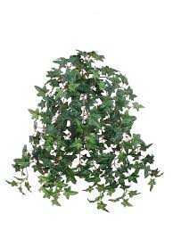 26 hanging artificial silk english ivy bush. Buy Larksilk 20 Artificial English Ivy Plant Small Artificial Plants With Silk Greenery Faux Ivy Vines Artificial Ivy Plant With 274 Fake Ivy Leaves In Cheap Price On Alibaba Com