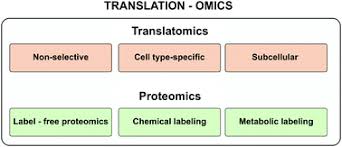 Georgian transliteration and virtual keyboard. Omics Approaches For Subcellular Translation Studies Molecular Omics Rsc Publishing