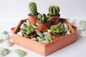 Create Your Own Succulent Garden Centerpiece Garden Centerpiece Plant Decor Indoor Succulent Landscape Design