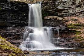 We did not find results for: Ricketts Glen State Park Vacation Rentals Cabin Rentals More Vrbo
