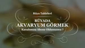 Ruyada Akvaryum Gormek Yorumu 2020 Yorum Ruya Akvaryum