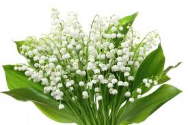 Avec bebloom, faites livrer de sublimes brins de muguet et. Quelques Brins De Bonheur Pour Ce 1er Mai Paris Cote Jardin