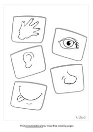 These 5 senses worksheets are a great tool to help your children build vocabulary and practice reading all while learning about their senses. 5 Senses Coloring Pages Free Human Body Coloring Pages Kidadl