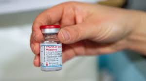 Para proteger la vacuna, moderna envuelve al arnm en burbujas aceitosas hechas de la vacuna de moderna tendrá que refrigerarse, y puede mantenerse estable por un periodo de hasta seis. Coronavirus How Long Does The Moderna Vaccine Last As Com