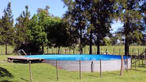 images?q=tbn:ANd9GcTo-78XrBQf2ve9Vj9YPGIAiuYi8d7baMUGDQ&usqp=CAU