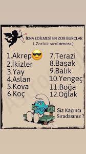 Aslan 2020 Burc Bilgileri Ikizler Burcu Ikizler