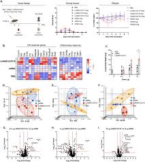 Hamstrung by pandemic fatigue, economic constraints and political discord. A Single Dose Of Self Transcribing And Replicating Rna Based Sars Cov 2 Vaccine Produces Protective Adaptive Immunity In Mice Biorxiv