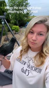 How to Make Birds Stay Away from Pool Cover