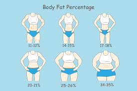 Image result for Body Composition Changes with Aging