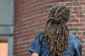 See dreadlocks pictures and videos! 25 569 Dreadlocks Photos Free Royalty Free Stock Photos From Dreamstime