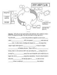 Pin Em Worksheet Fun